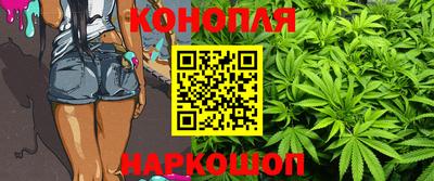 PSILOCYBIN Ярославль
