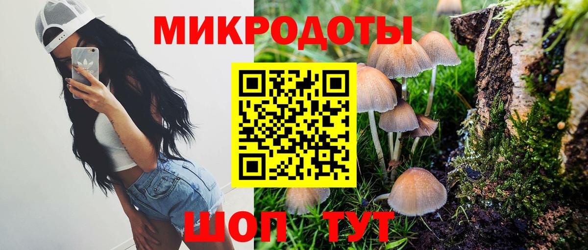 Ленинск-Кузнецкий  Псилоцибиновые грибы Magic Shrooms  Вход с VPN 