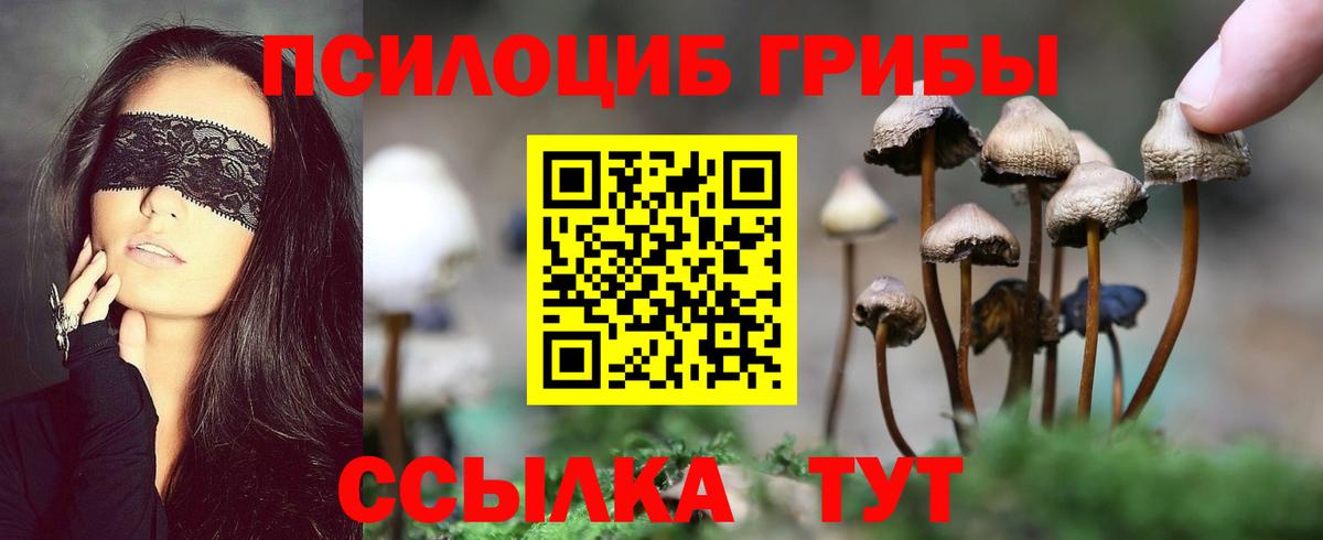 Галлюциногенные грибы Cubensis Ленинск-Кузнецкий