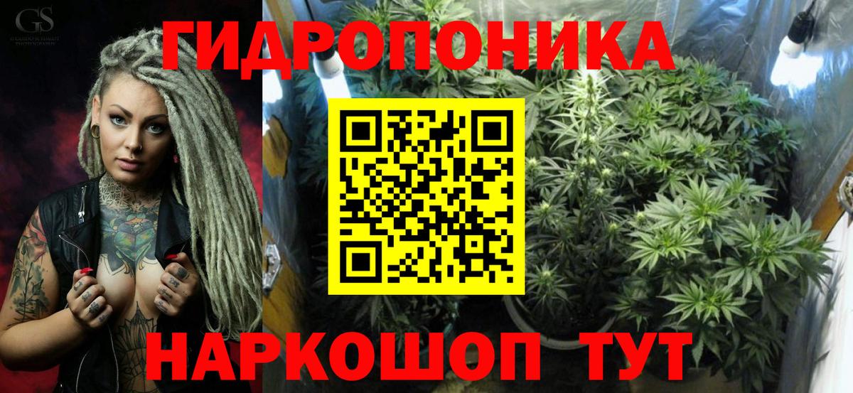 Шишки марихуана ГИДРОПОН  Конопля планчик  Ленинск-Кузнецкий  Вход с VPN  Бошки марихуана OG Kush 